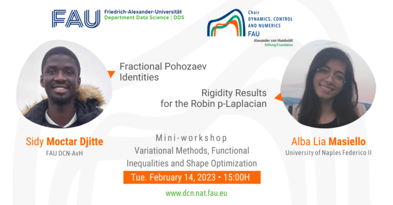 Mini-workshop: Variational Methods, Functional Inequalities, and Shape Optimization