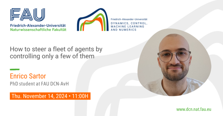 FAU DCN-AvH Jr. Seminar: How to steer a fleet of agents by controlling only a few of them