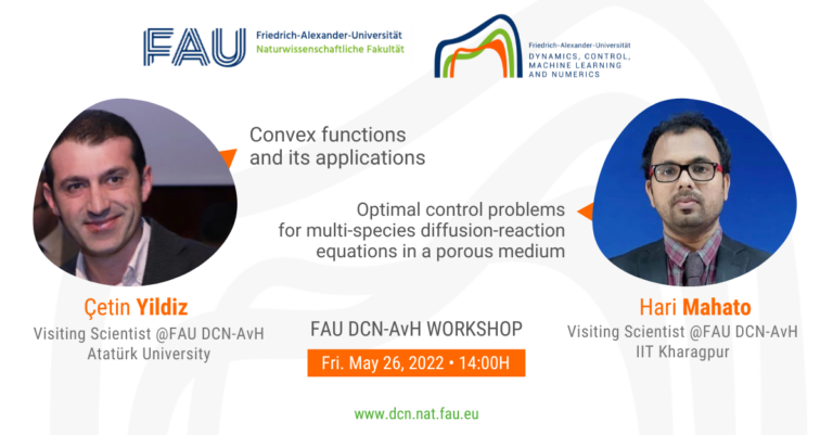 Mini-workshop: Analysis, Numerics and Control