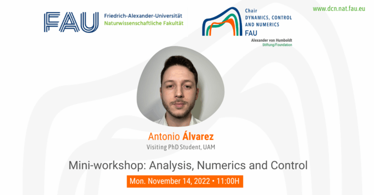 Mini-workshop: “Analysis, Numerics and Control”