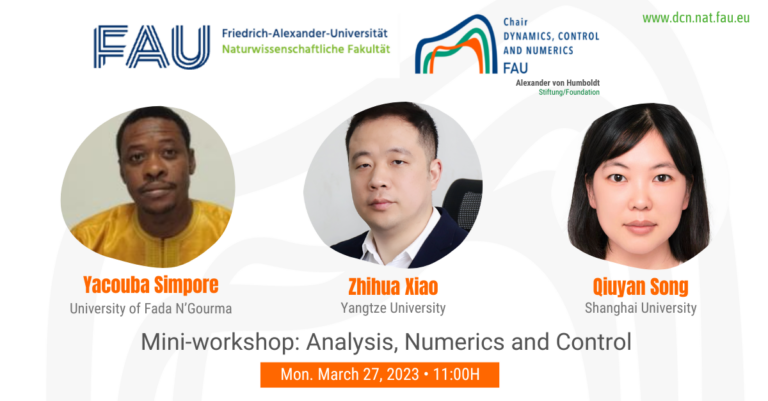 Mini-workshop: Analysis, Numerics and Control