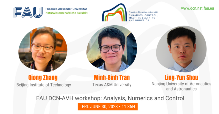 FAU DCN-AvH workshop: Analysis, Numerics and Control