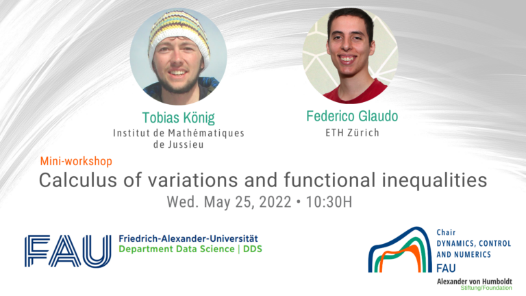 Mini-Workshop “Calculus of Variations and Functional Inequalities”