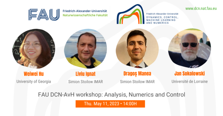 Mini-workshop: Analysis, Numerics and Control