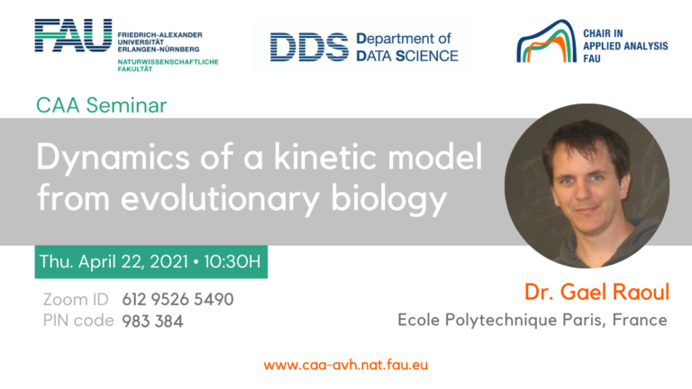 Dynamics of a kinetic model from evolutionary biology