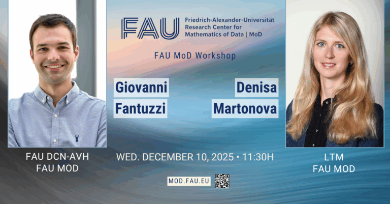 FAU MoD Workshop G. Fantuzzi / D. Martonová