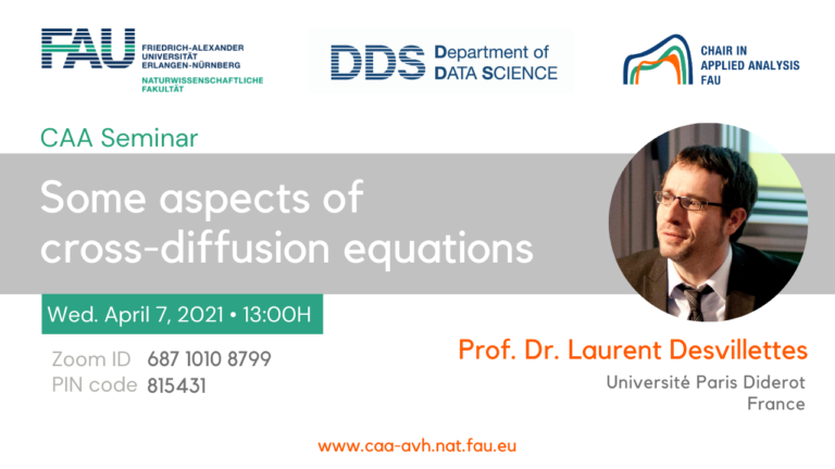 Some aspects of cross diffusion equations