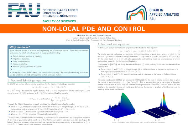 Non-local PDE and Control