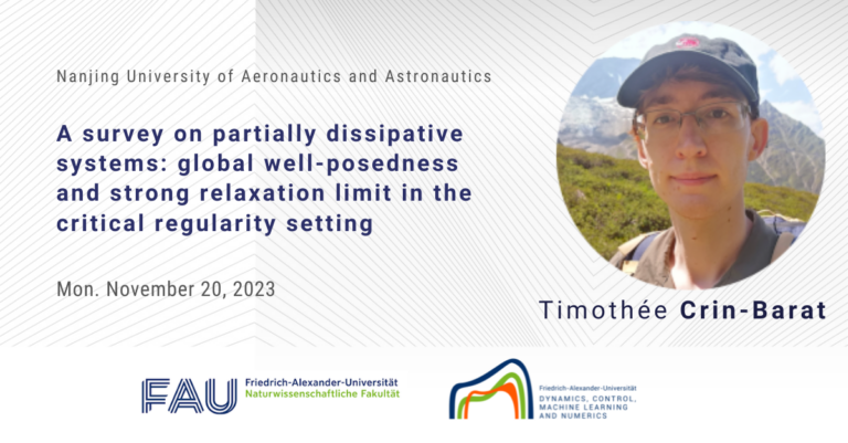 A survey on partially dissipative systems: global well-posedness and strong relaxation limit in the critical regularity setting