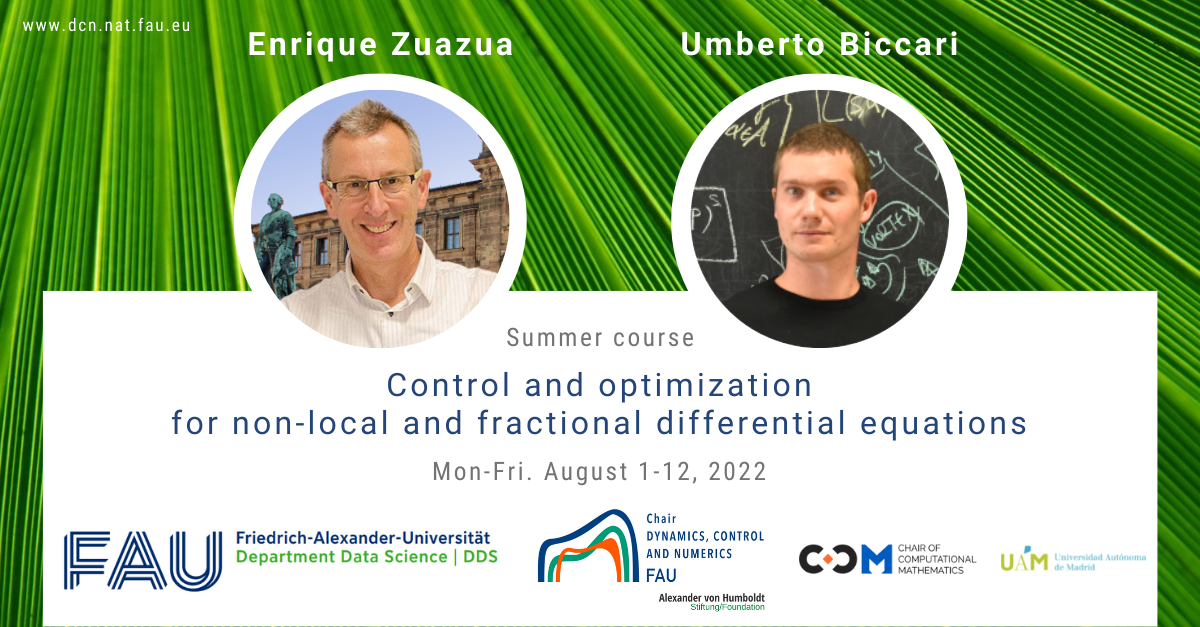 Course: Control and optimization for non-local and fractional differential equations